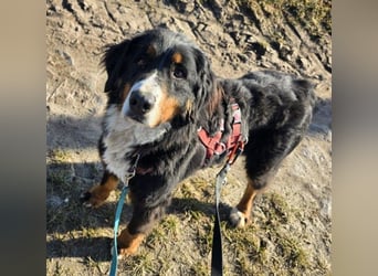 Roxana auf den Weg ins Leben