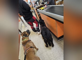 Roxana auf den Weg ins Leben