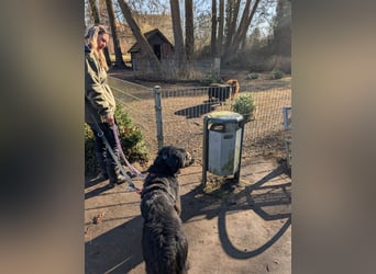 Roxana auf den Weg ins Leben