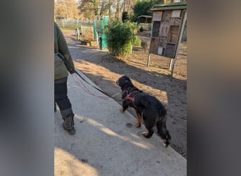 Roxana auf den Weg ins Leben