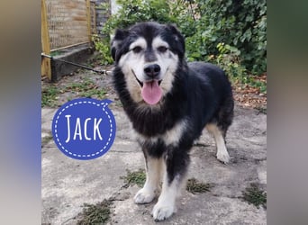 Jack hat noch nie Geborgenheit gespürt
