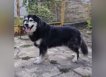 Jack hat noch nie Geborgenheit gespürt
