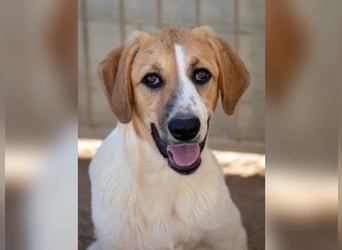 Ritas Welt ist zu klein!