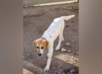 Ritas Welt ist zu klein!