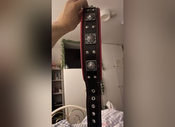 Bestia Echtleder Hundehalsband Xl