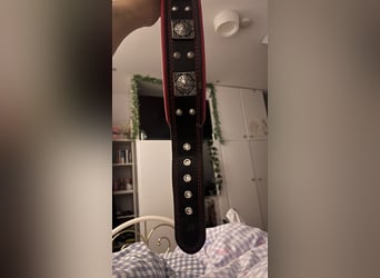 Bestia Echtleder Hundehalsband Xl