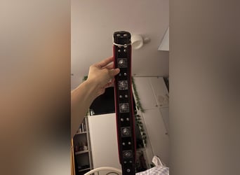 Bestia Echtleder Hundehalsband Xl