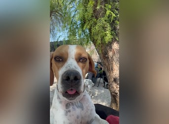 Cooper, hofft auf eine Chance