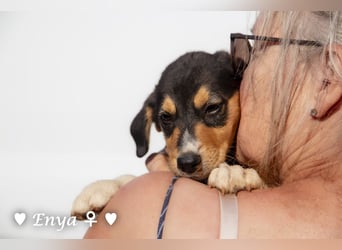 Jackie/Enya sucht ihre Familie ab Oktober