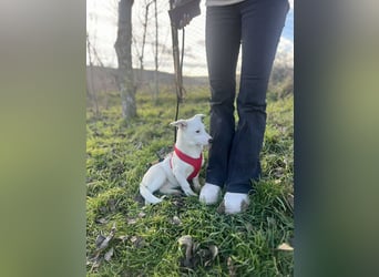Kleine Claire wünscht sich ein liebevolles Zuhause