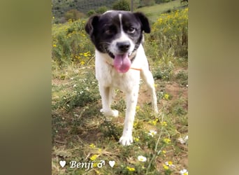 Kokonimix Bo und Benji suchen ab sofort ein Zuhause