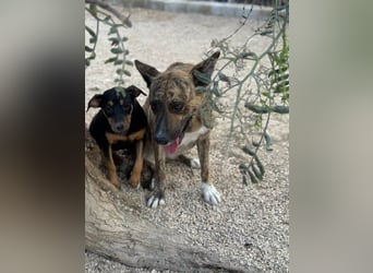 Bimba, wird immer übersehen