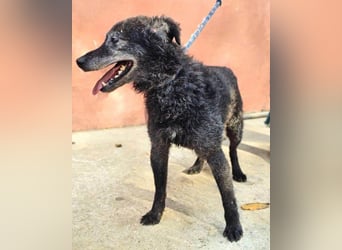 OldBoy ♥Billy♥ Senior sucht Treue+Liebe