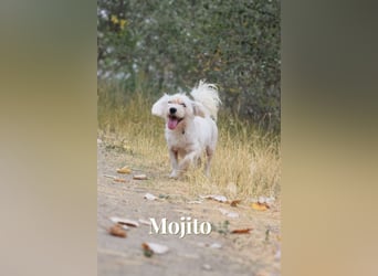 Aperol & Mojito - zwei kleine, junge Seelen die zusammenbleiben möchten