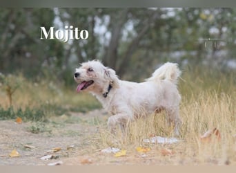 Aperol & Mojito - zwei kleine, junge Seelen die zusammenbleiben möchten