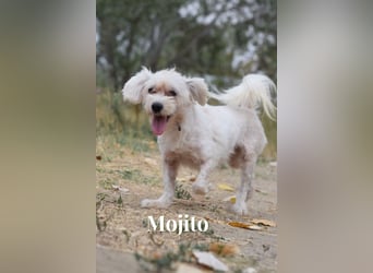 Aperol & Mojito - zwei kleine, junge Seelen die zusammenbleiben möchten