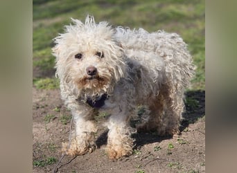 Ziva ist an Zuwendung nicht gewöhnt