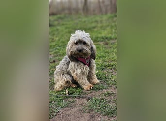 Arissa hatte kein schönes Leben