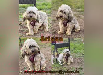 Arissa hatte kein schönes Leben