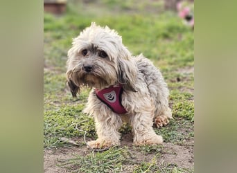 Arissa hatte kein schönes Leben