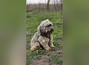 Arissa hatte kein schönes Leben