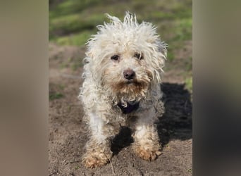 Ziva ist an Zuwendung nicht gewöhnt