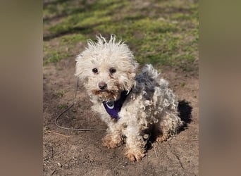 Ziva ist an Zuwendung nicht gewöhnt