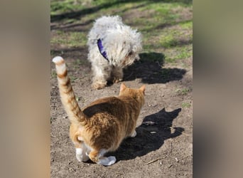 Ziva ist an Zuwendung nicht gewöhnt