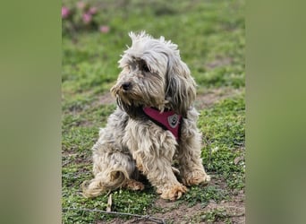 Arissa hatte kein schönes Leben