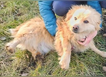 BUDUSEL ♥ - Befreit von der Kette