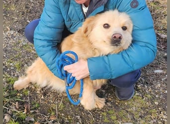 BUDUSEL ♥ - Befreit von der Kette