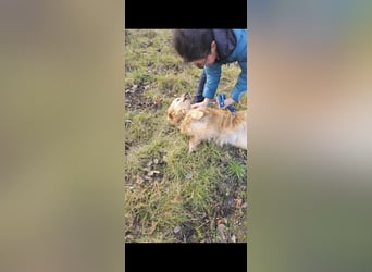 BUDUSEL ♥ - Befreit von der Kette