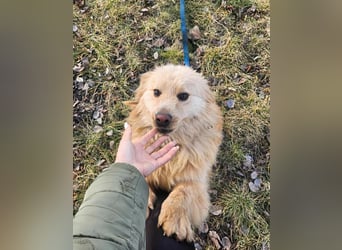 BUDUSEL - Befreit von der Kette