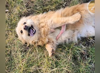 BUDUSEL ♥ - Befreit von der Kette