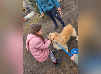 BUDUSEL - Befreit von der Kette