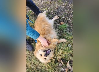 BUDUSEL ♥ - Befreit von der Kette