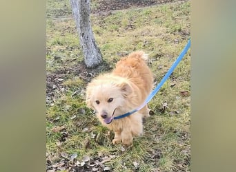 BUDUSEL - Befreit von der Kette