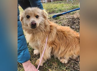 BUDUSEL - Befreit von der Kette