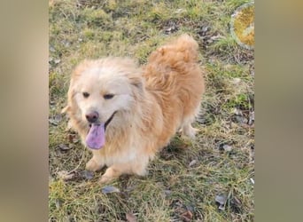 BUDUSEL ♥ - Befreit von der Kette