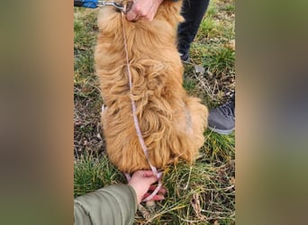 BUDUSEL ♥ - Befreit von der Kette