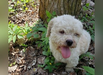 LINA - kleine Herzensdame