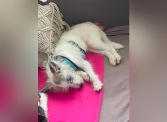 BUGSY - ist bereit für Abenteuer