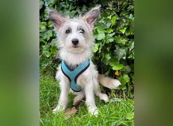 BUGSY - ist bereit für Abenteuer