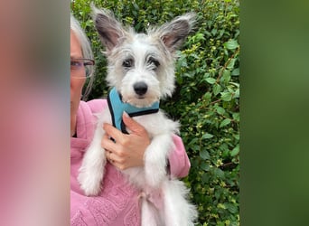 BUGSY - ist bereit für Abenteuer