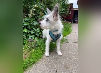 BUGSY - ist bereit für Abenteuer