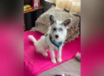 BUGSY - ist bereit für Abenteuer