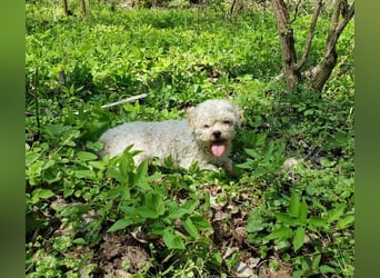 LINA - kleine Herzensdame