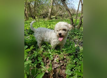 LINA - kleine Herzensdame