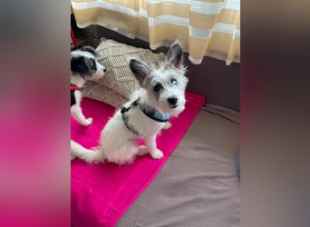 BUGSY - ist bereit für Abenteuer
