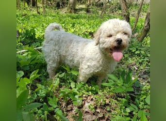 LINA - kleine Herzensdame